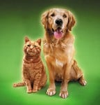 coupon-image